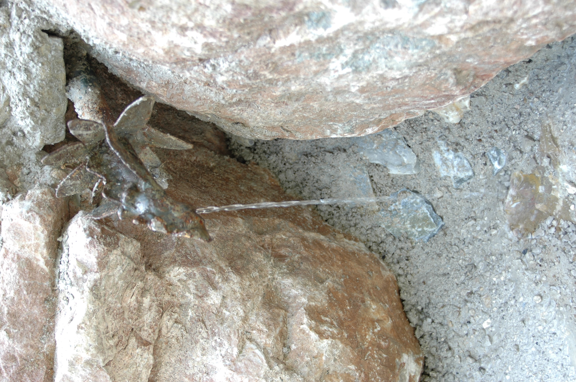 Augenbründl am Salberg