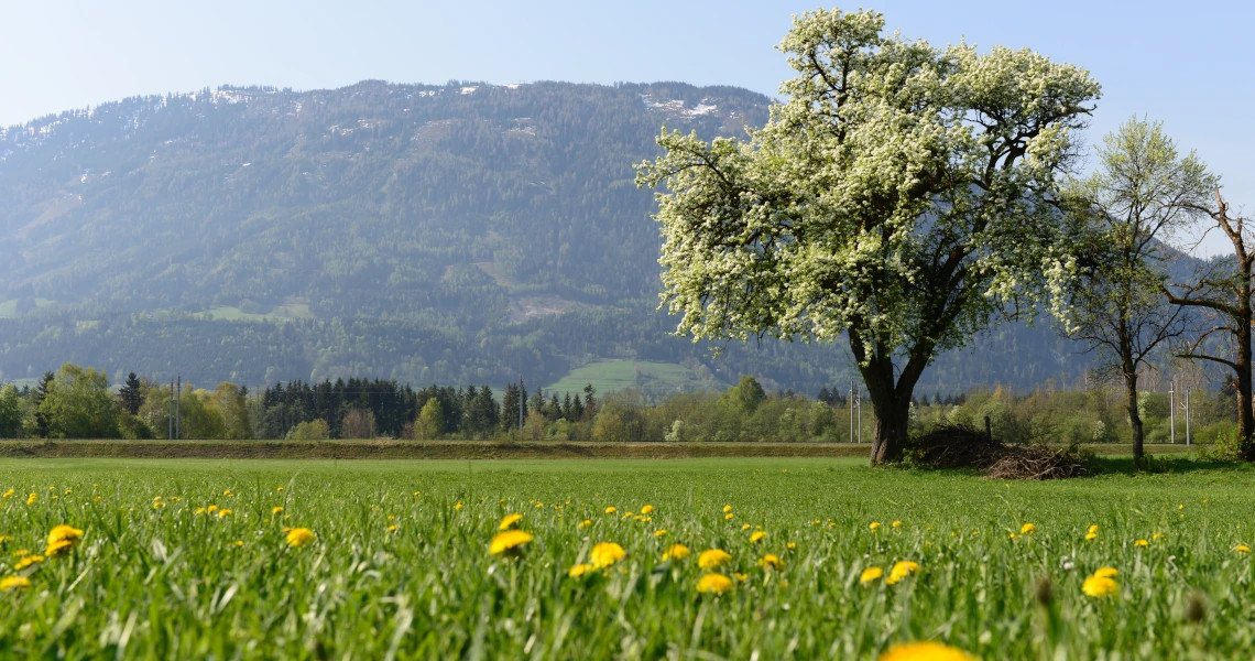 Frühjahr in Liezen