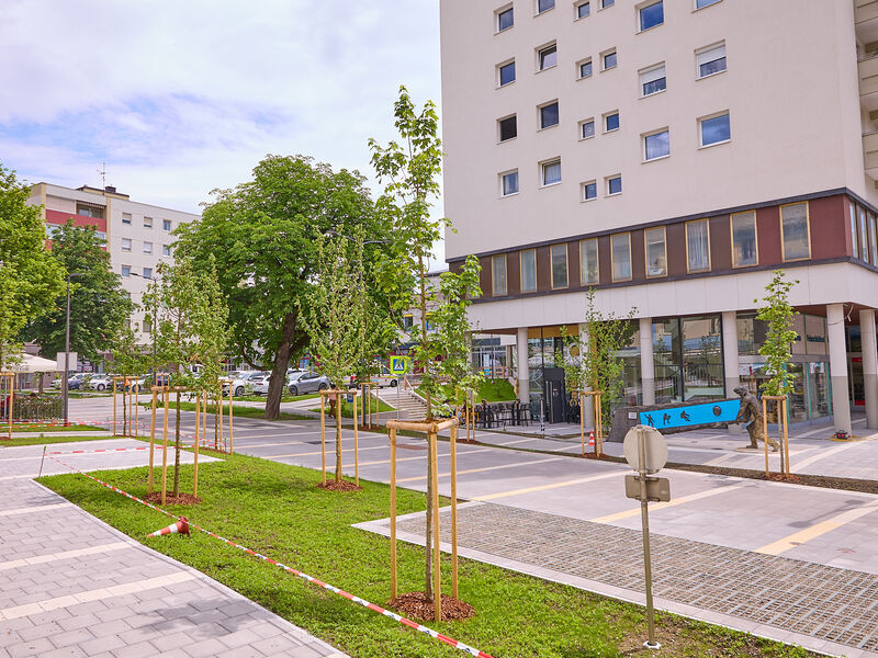 Hauptplatz - Abschnitt Marktplatz