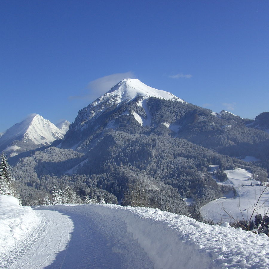 Rodelbahn Lexgraben