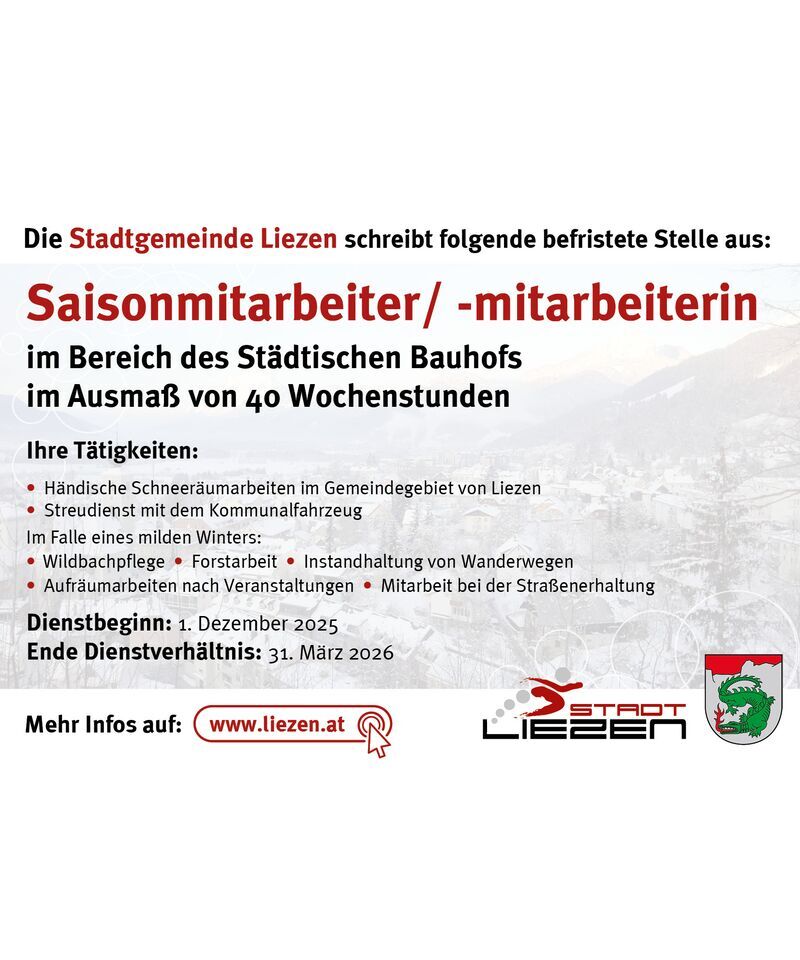 Saisonmitarbeiter Winterdienst
